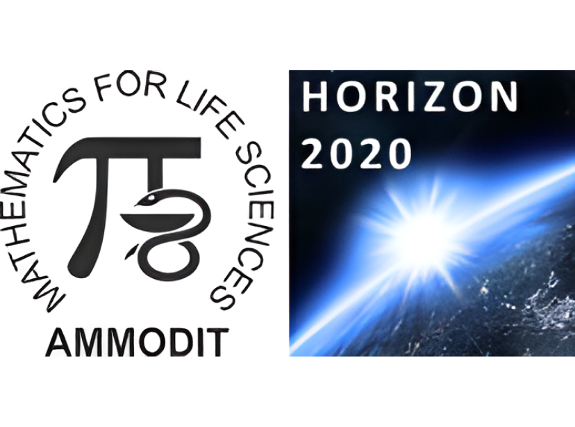 Horizon 2020